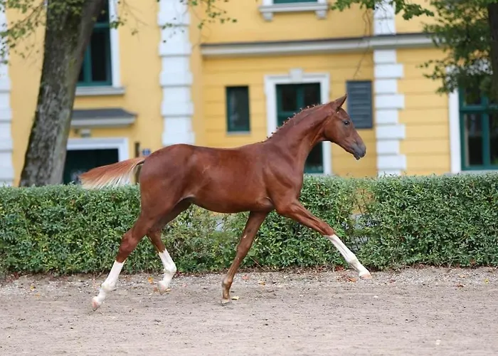 Elegant Pool - Vienna Limit Villa *